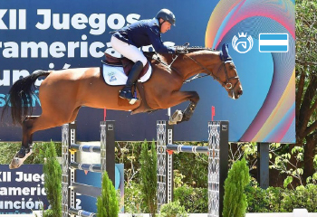 Pegasus Chau Amore